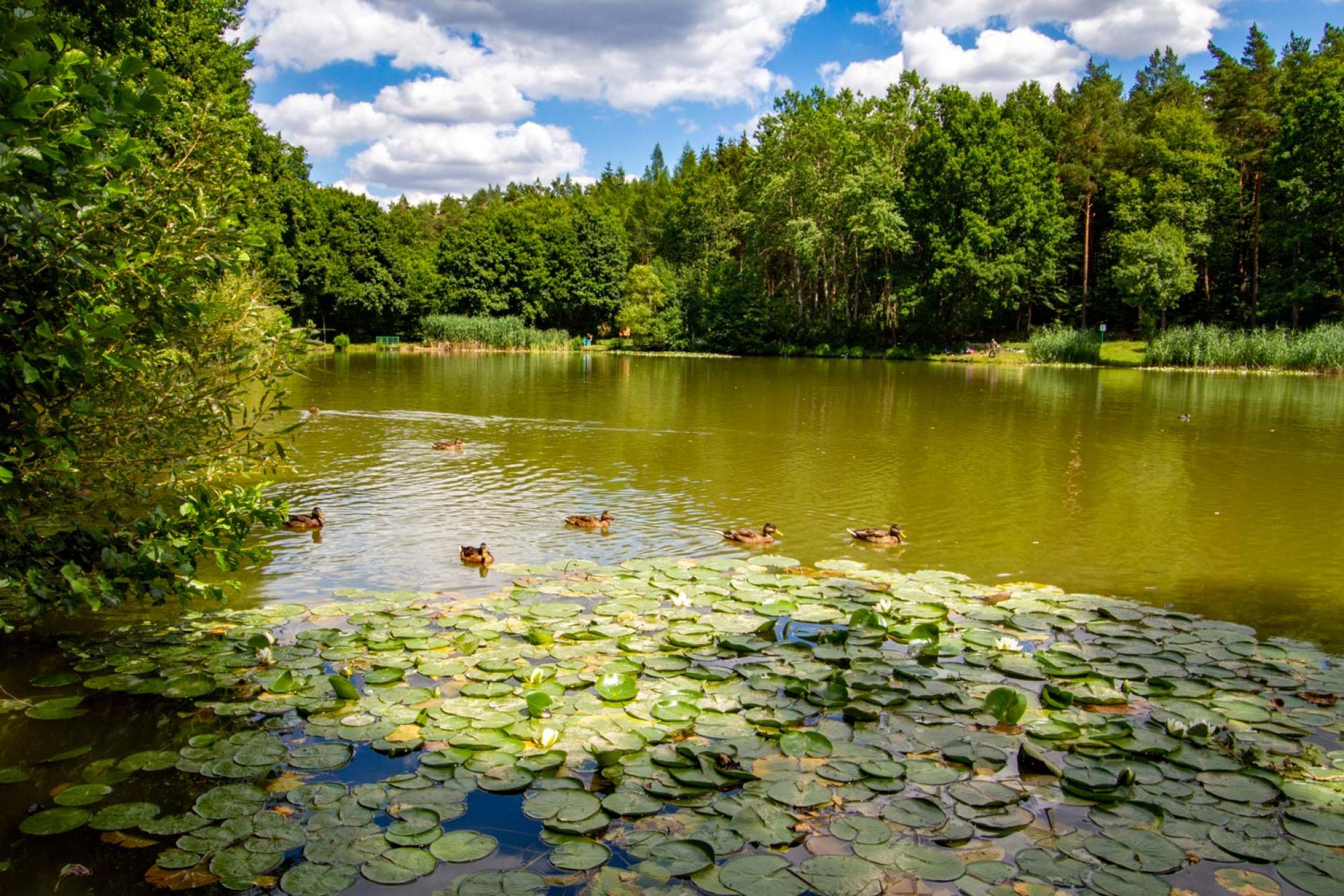 Hollersee